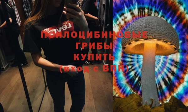 бутират Алексеевка