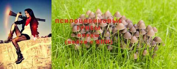 стаф Абаза