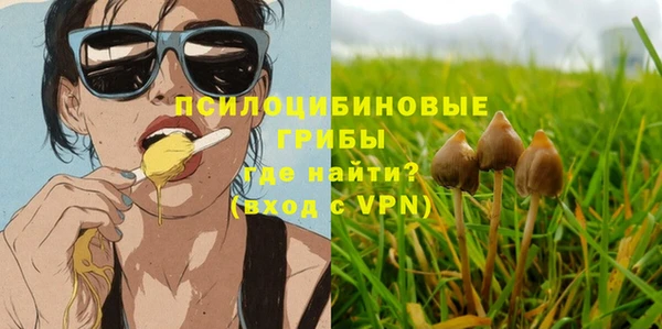 ешки Алзамай