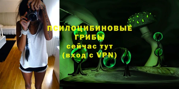 ешки Алзамай